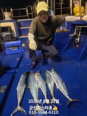 [군산] 군산킹스타호(8/21)야간삼치&고등어(12분조사님)마무리조황