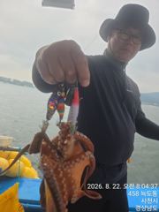 [사천] 내만 돌문어 조황 내일 예약 중