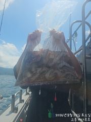 [고흥 바다루호] 8월22일 문어낚시 조황입니다.