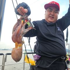 8월22일 토요일 주간문어