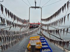 8월 22일 홍원항 뉴아일랜드호 백조기 [이벤트] 쌍걸이 우수수! 조황