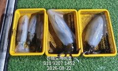 무늬오징어 팁런 일요일 예약가능합니다