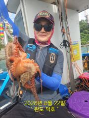 완도덕호 8.22 문어