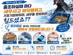 오늘의조황 - [ 청마호 ] 8월 21일 [ 사이즈 좋다 !! 개.우럭 + 대.농어 외수질 ] [ 인천배낚시 청마피싱 / 인천선상낚시 / 인천낚시배 ] - 인천 영종도 선상낚시 청마피싱,피싱스토리
