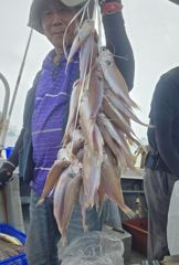 [백조기] 8월 22일 백조기 조황입니다.
