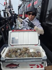 [꽃게조황] 8.22일 꽃게 조황입니다