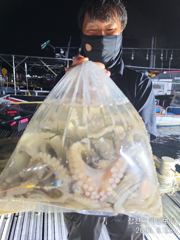 삼천포 마린보이 8. 22. 야간문어 뜯고 왔습니다.