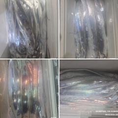 [ 갈치 텐빈 텐야 ] 통영 먼바다 조황