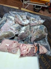 8월 22일 토요일 대구라바 조황!!