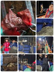 [포항] 실시간! 토2부 돌문어 쿵쾅중! 뉴대양호