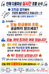 [진해] 진해♡다올피싱)22일 실시간 조항 ~~