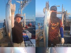 [완도 청산호] 26.08.22 씨알 3-5지급 갈치로 쿨러 가득히~ 호조황 입니다. 찾아주신 조사님들 감사합니다.