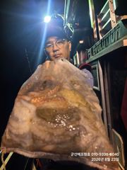 군산에프원호 22일 문어조황입니다 일요일 여유자리있습니다.