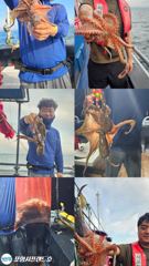 8.22 포항돌문어 조황