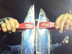 준내만갈치~3지4지!묵찍하게올리고(월요일예약가능)