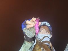 무늬 야간팁런 씨알 마리수 쵝오입니다!!! 일욜 이벤트 예약가능!!