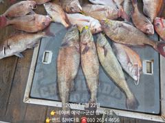 22일 참돔 민어 민어 위주로했네요