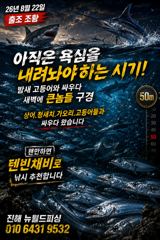 [진해] 진해뉴월드피싱 ~ 25일 화요일부터 준내만갈치 예약가능합니다..