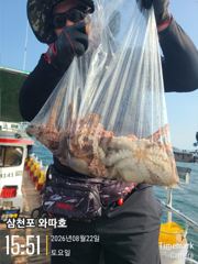문어 따박따박 좋습니다