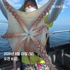오늘자 돌핀3호 대왕문어 낚시 6인 조황입니다.