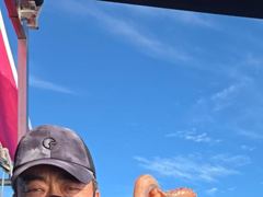 생활낚시조황 - 8/23 갑오징어 탐사출조 조황 - 무창포 테티스호,배낚시,바다낚시.선상낚시.생활낚시.전문