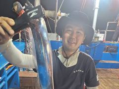 [진해] 준내만칼치 대치들 터졌다~3,4지급 쿨러가득 대박조황 쭉!!월,…