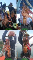 [사천] 23일 kg오버.중치 돌문어 마릿수 조황(낼 자리 여유.선수모집…