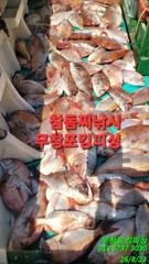 [서천,보령] 무창포_킹피싱_킹피쉬호_8월_23일_참돔_찌흘림_조황입니다.