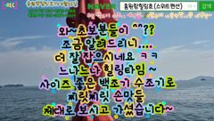 8월23일 홍원항힐링호 찌릿찌릿 백조기 수조기 조황~!오늘도 여지없네요^^사이즈좋은 애들로 팔아프게 올리셨습니다 ㅎㅎ#백조기 #홍원항힐링호 #유튜브힐링호TV #백조기낚시 #홍원항