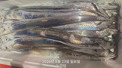 [여수뉴킹덤] 8월23일 입항 조황!!! 다음주 금요일 자리있습니다!! 믿고오세요 01023004931