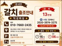 [23일입항] "준내만갈치" 3지4지 대갈치들!! 쿨러 묵직하게 담았네요~ [예약가능] 010-7660-2435