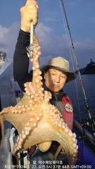 6월23일 문어