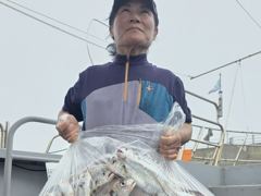 오늘의조황 - 8월22일 전원 만쿨 초대박 조황 - 홍원 에이스낚시