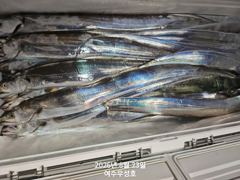 8월22일입항 대갈치 조항소식 입니다