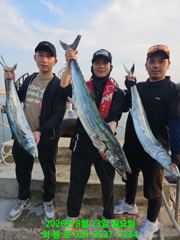 대삼치 대폭발 초대박 조황입니다 ^^(월,화,수 급모집)
