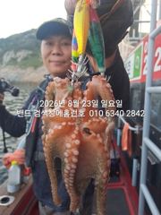 8월23일 군산 홈런호 야간 문어 출조 하였습니다.첫포인트 부터 준수한 사이즈 문어가 올라와 줍니다.실시간 구경들 하세요.