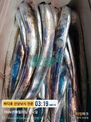 [[대림낚시바다호 ]] 왕갈치 조황