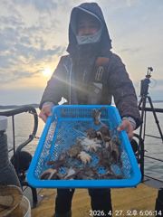 조황정보 - 4월 27일 쭈꾸미 조황 - 영목항 상록호