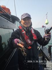 조황정보 - 2026년 3월 26일 첫 왕쭈꾸미 탐사 조항 - 영목항 상록호