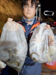 ●인해호●문어에 올인●야간 문어●
