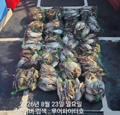 오늘의조황 - 8/23 일 [2물] 꽃게낚시 15명 조항 입니다. - 루어파이터호