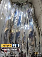 월요일부터 쭉예약가능! 연일대박조황터집니다! 기회놓치지마세요~