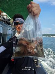 26.08.23 문어조황