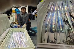 [뉴-한사리호]23일철수 갈치조황입니다