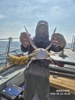 8/23 꽃게 조황