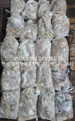 24일 홈런호 야간문어 전체 대박조황 장원31수 언제나 굿조황으로 마무리 합니다