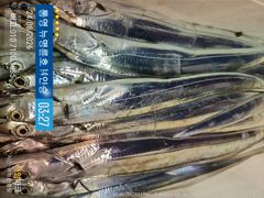 ＜＜통영 뉴명륜호 14인승＞＞ 씨알급 갈치부터~ 大갈치 쿨러조황^^ (예약 010-7100-1685)