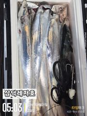 [텐빈]씨알은,"굿" 마리수는 아쉬운,조황(화요일출항)