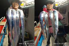 [통영] [통영만선피싱] 씨알 좋은 갈치~~ 29일 토요일부터 정상출조합…