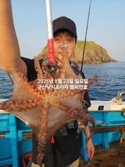 [군산] 8/23일, 야간문어가 싸이즈 좋아요~부쩍커진 문어들-좋아요~오…